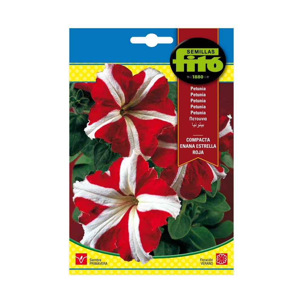 Semilla de petunia compacta enana estrella roja