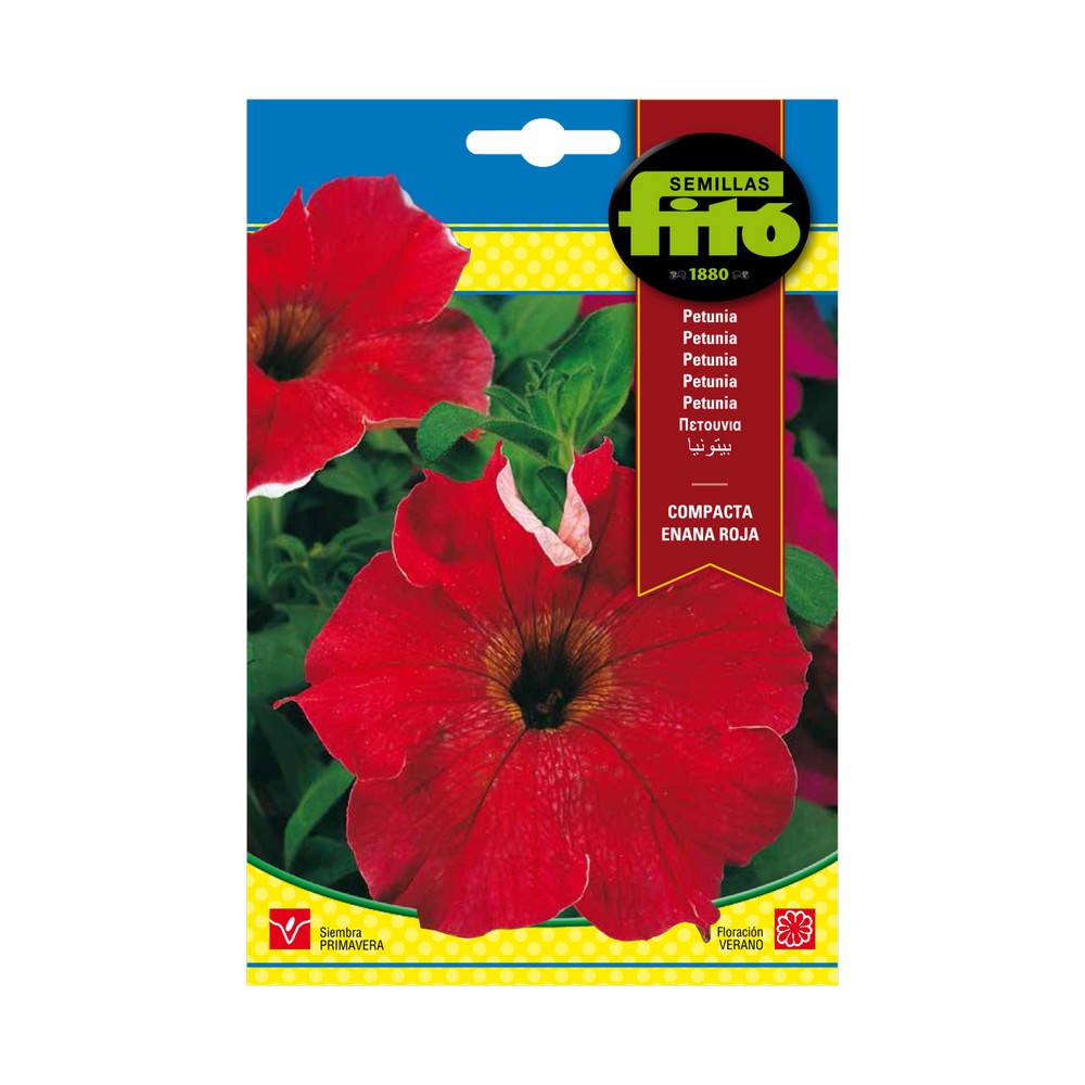 Semilla de petunia compacta enana roja