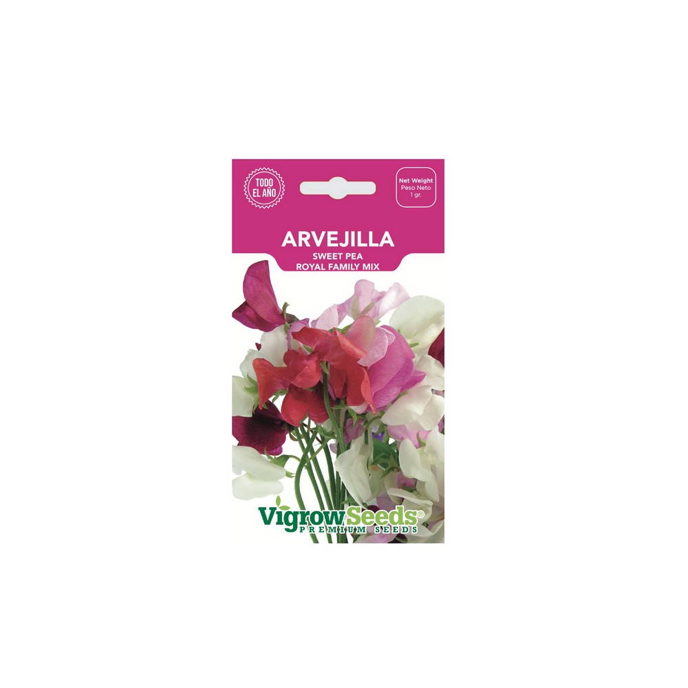 Semilla de flor arvejilla 1 g