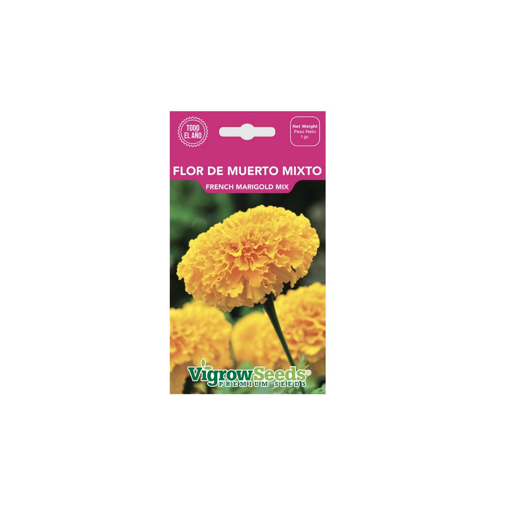 Semilla de flor de muerto 1 g