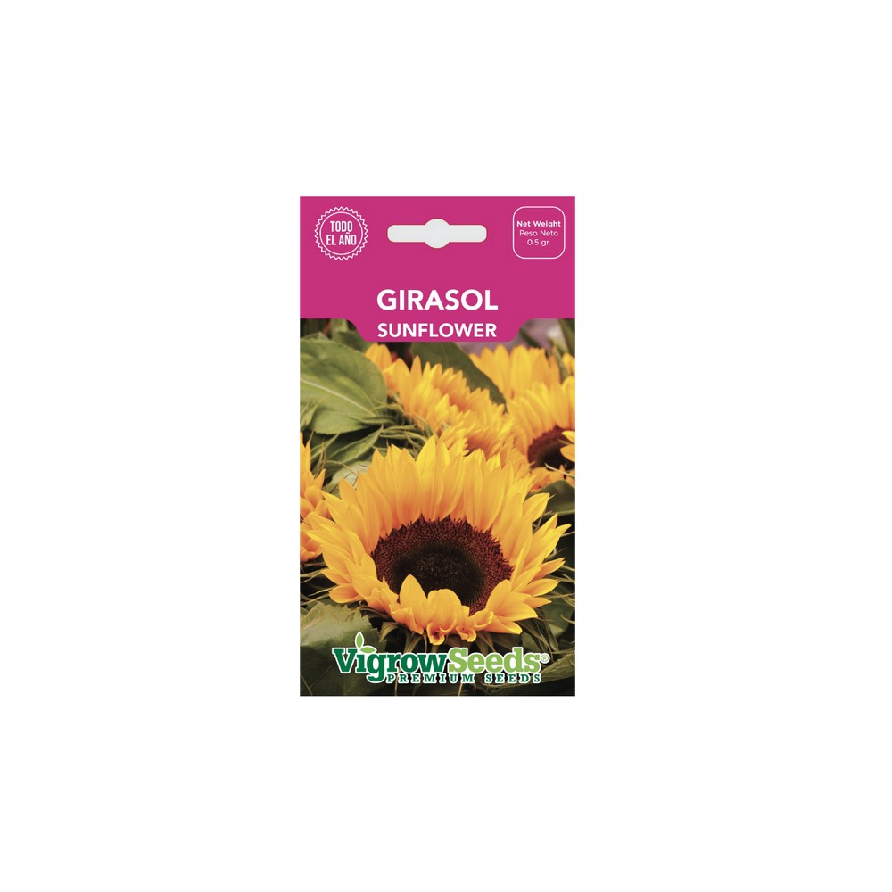 Semilla de girasol