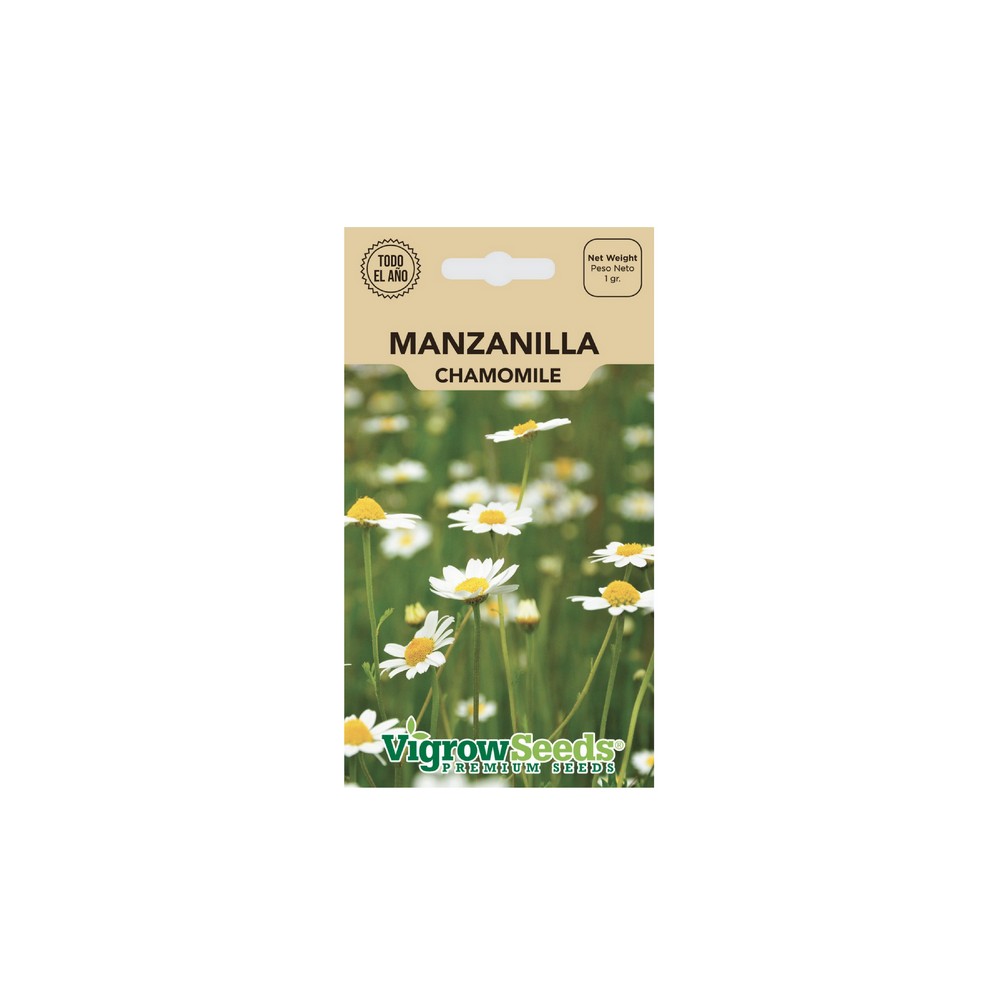 Semilla de manzanilla