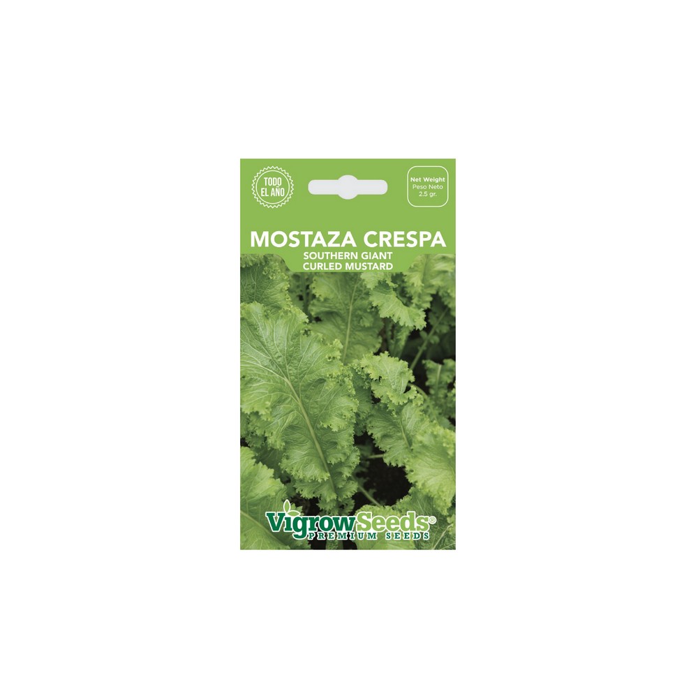 Semilla de mostaza crespa