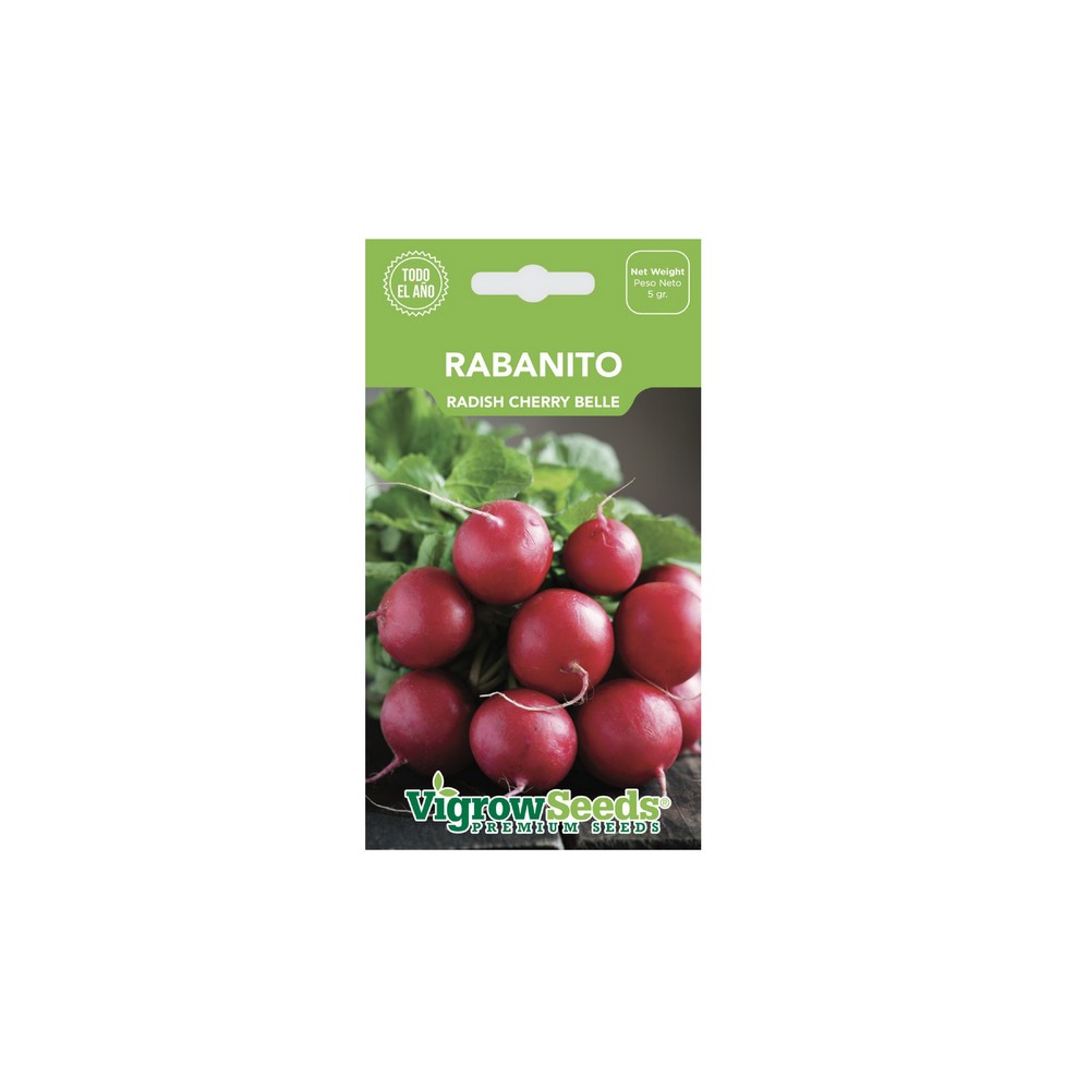 Semilla de rabanito