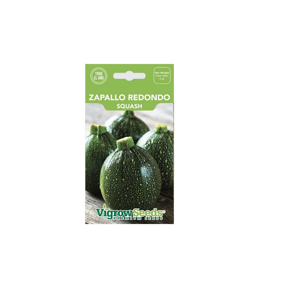 Semilla de zapallo redondo