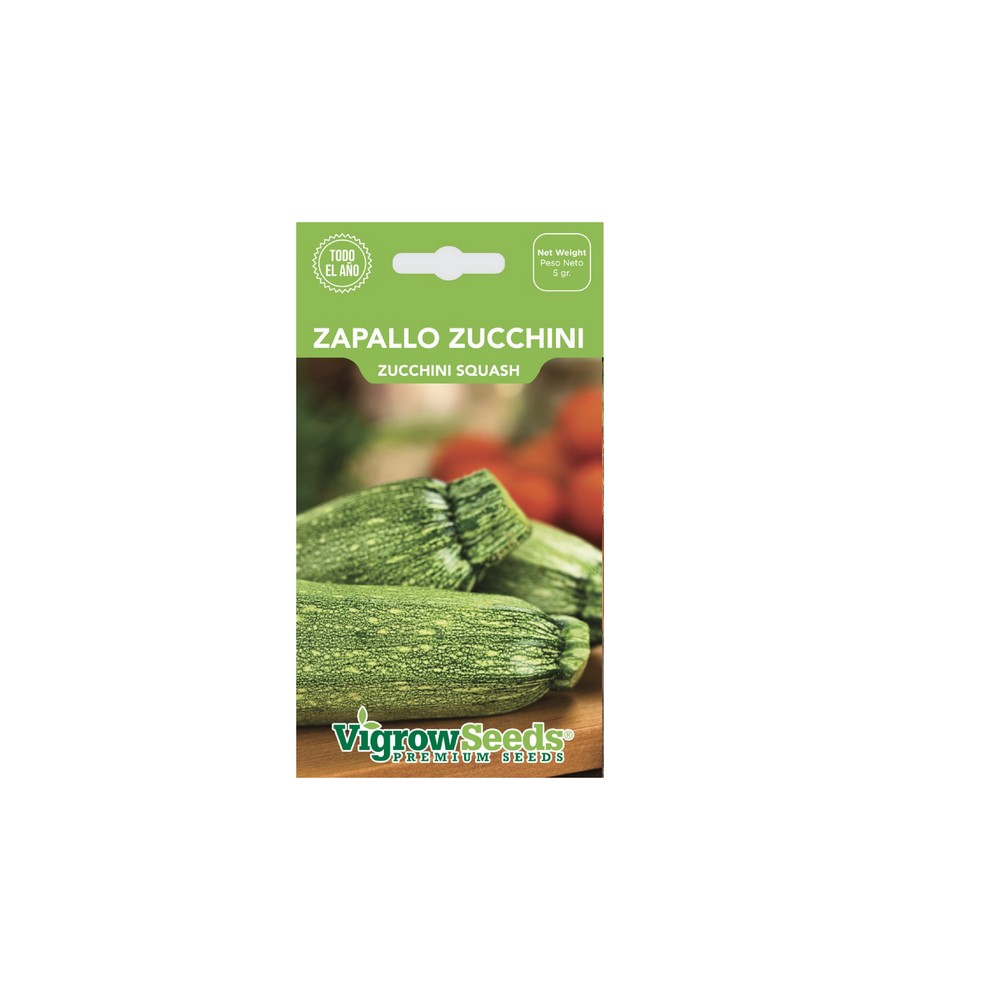 Semilla de zapallo zucchini