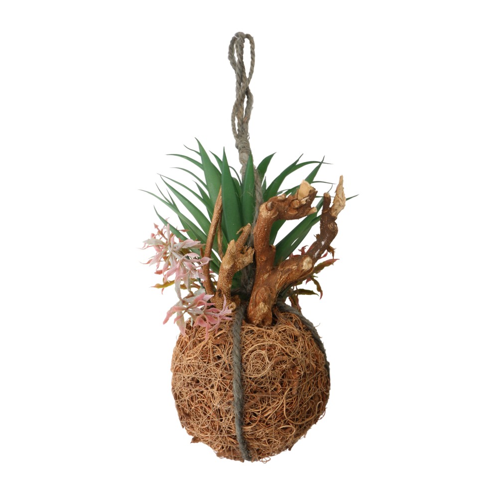 Maceta colgante con planta