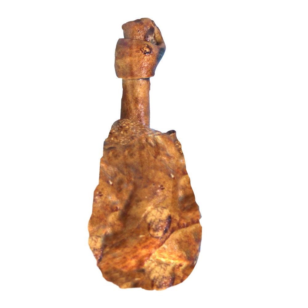 Hueso piernas de pollo de carnaza