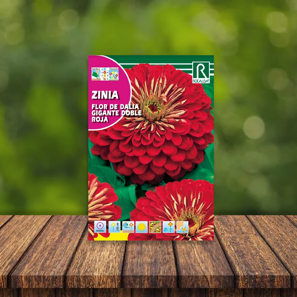 Flor de zinnia