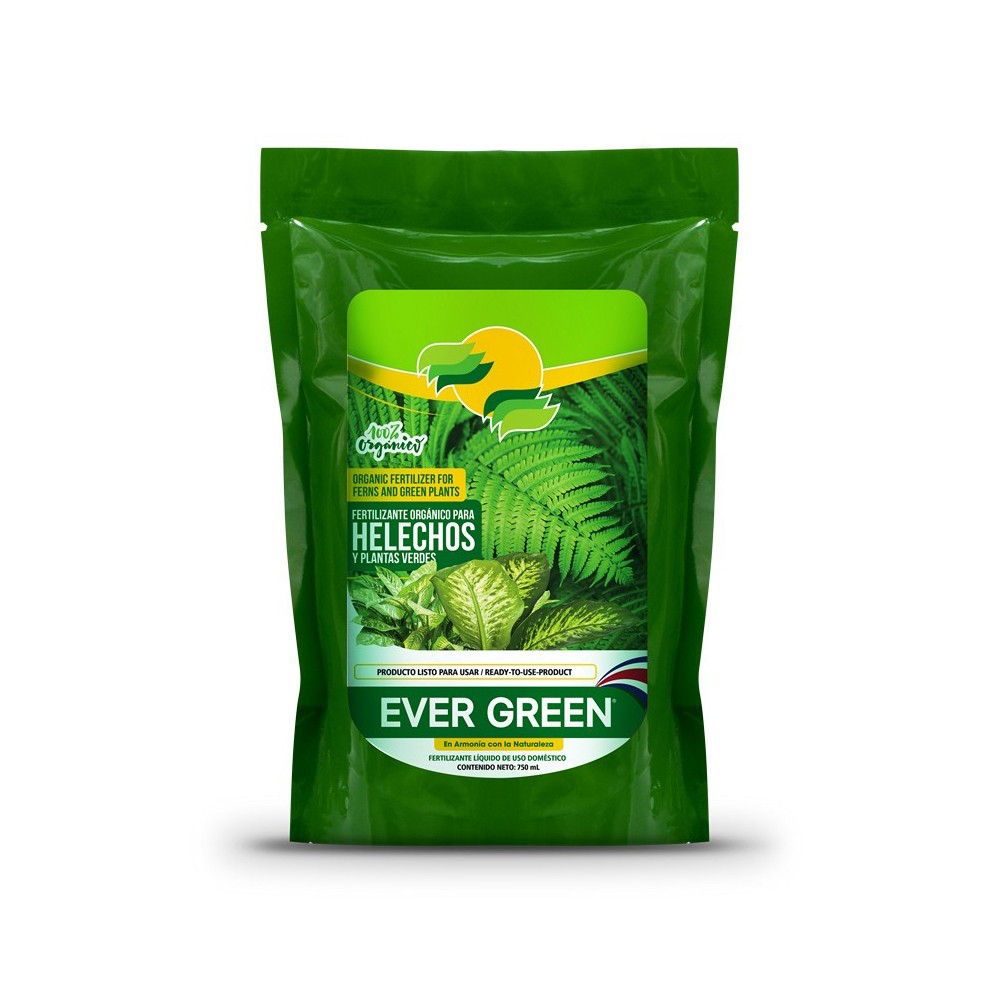 Fertlizante para helechos y plantas verdes