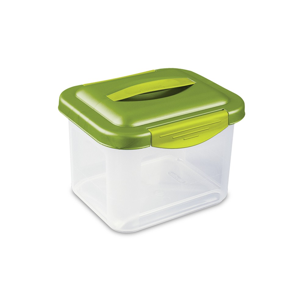 CAJA ORGANIZADORA PLÁSTICA PEQUEÑA