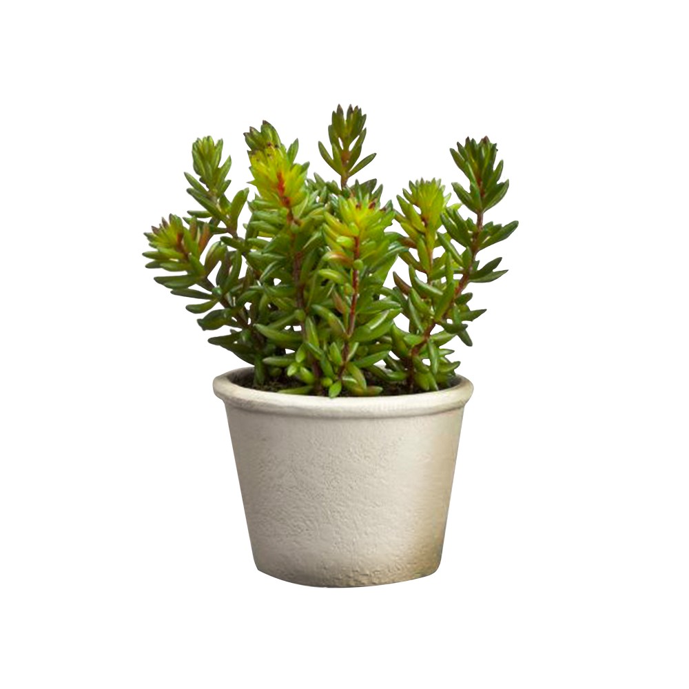 Planta artificial sedum en maceta 7 in