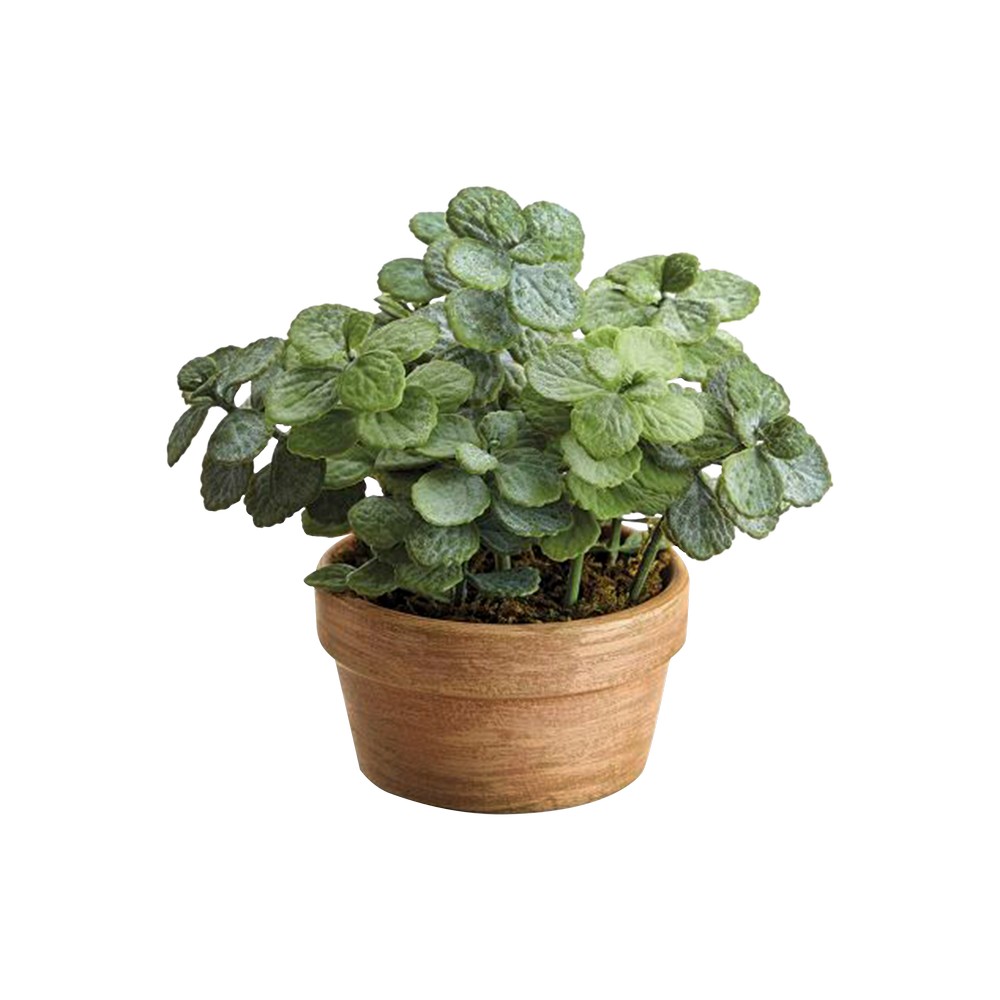 Planta artificial jade mini en maceta 6.5 in