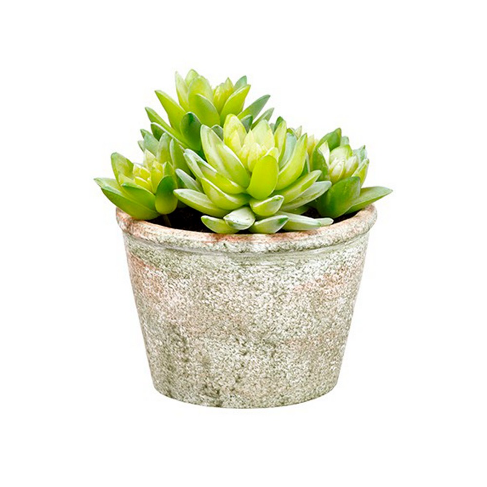 Planta artificial sedum maceta papel mache 5.75 in