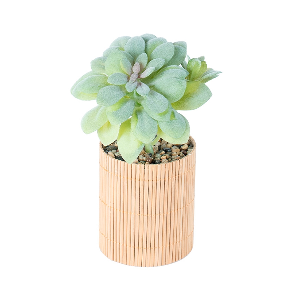 Planta decorativa 8x8x19 cm