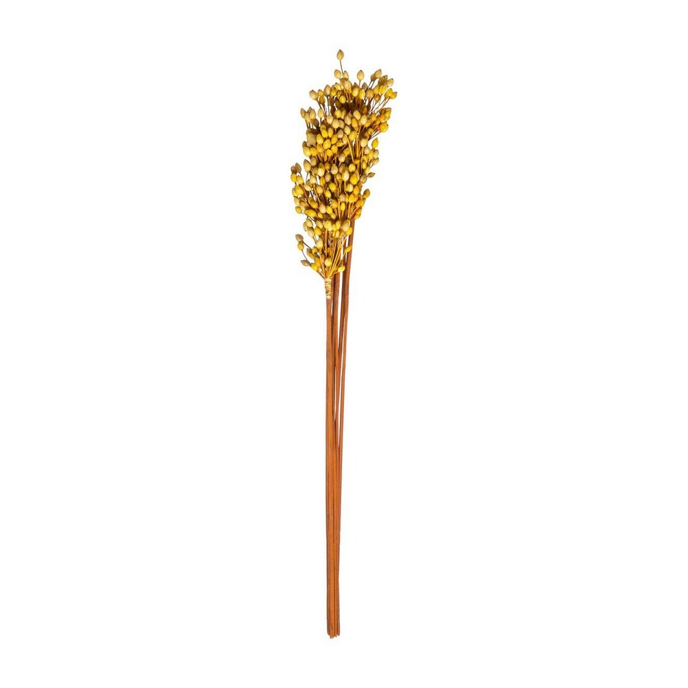 Planta decorativa 74cm nature ochre surtido