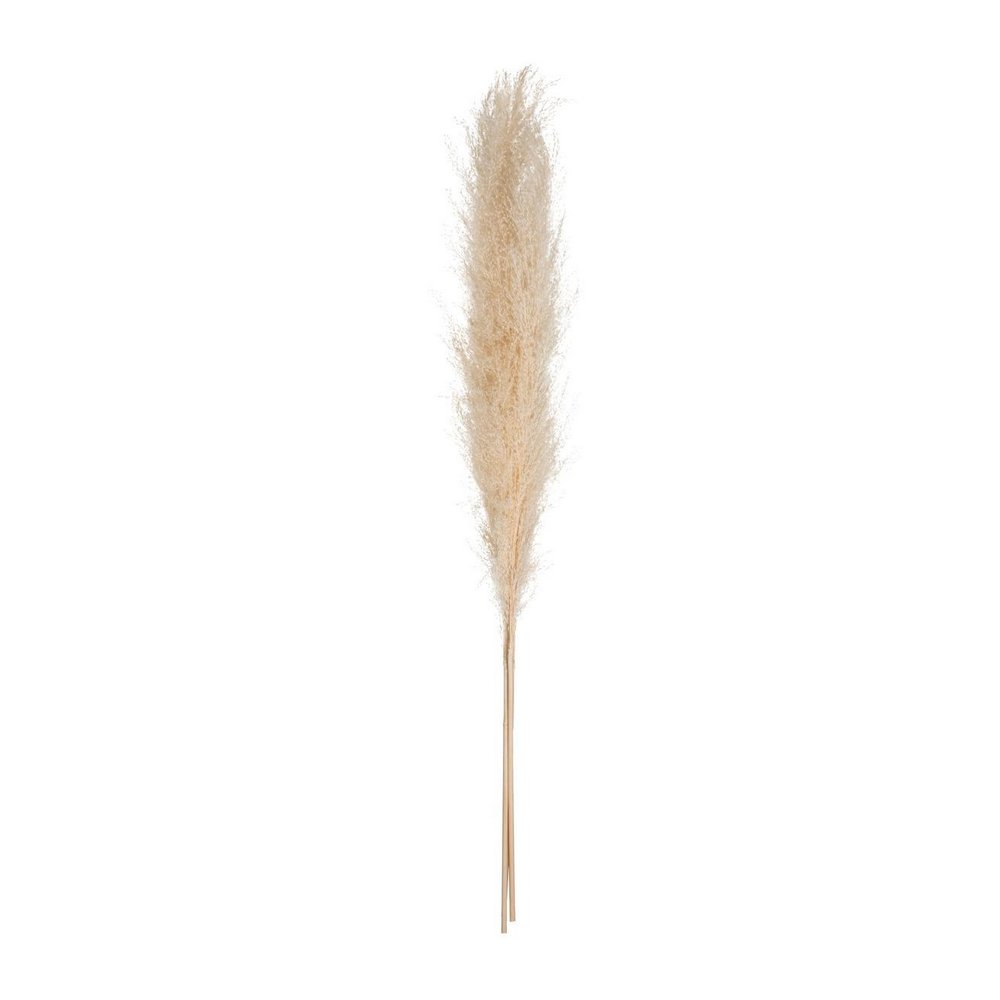 Planta decorativa 110cm beige pampa 3 pzas