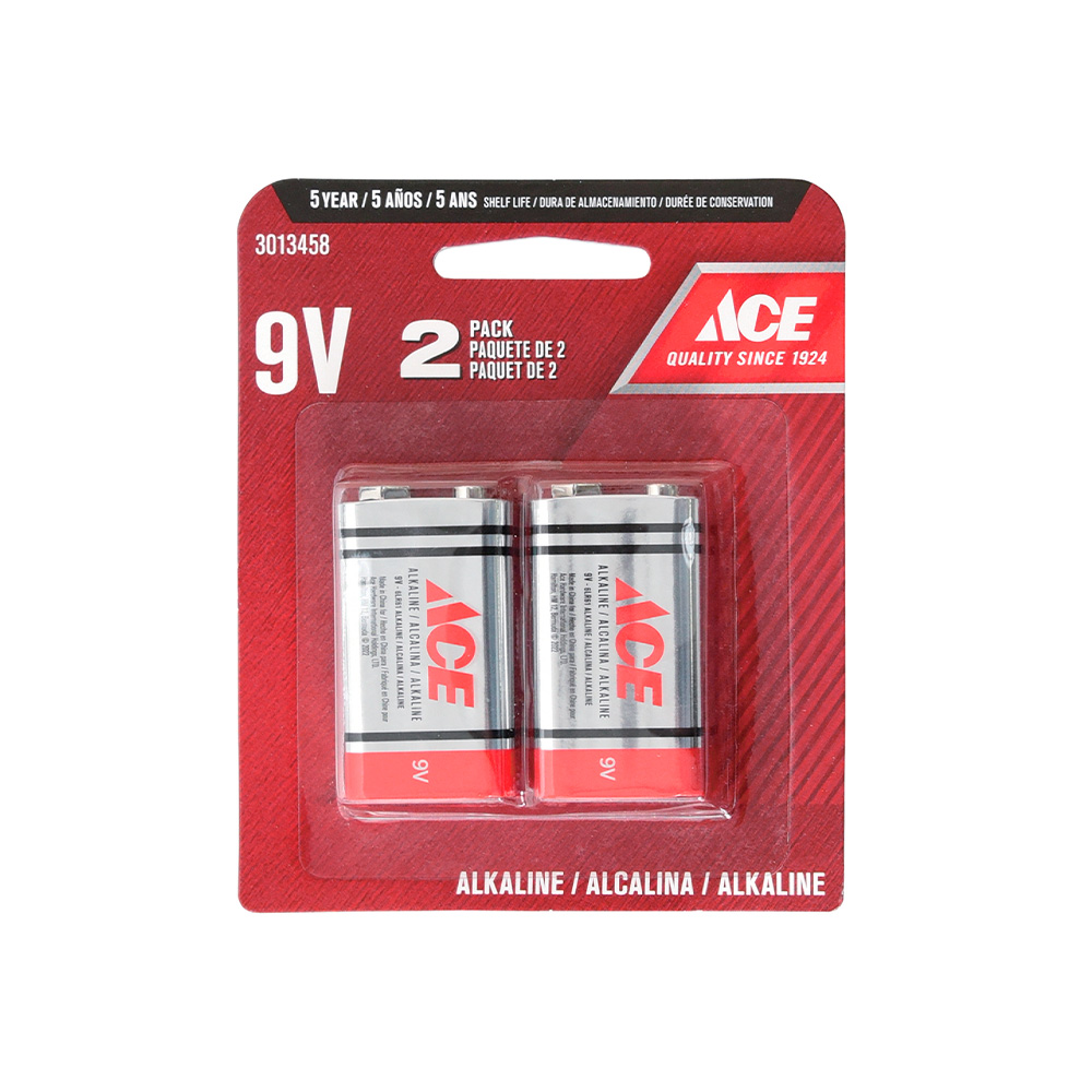 Bateria alcalina 9v pack 2