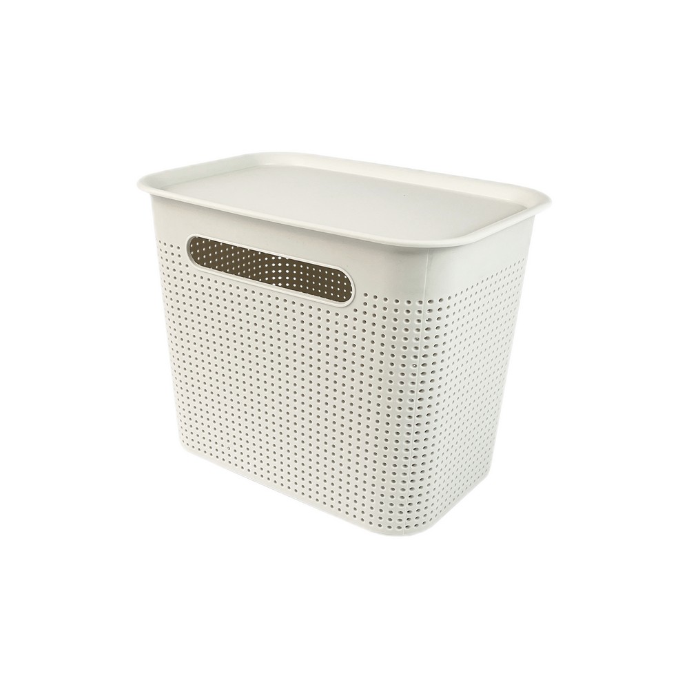 Caja organizadora plastica 27x19x21 cm con tapa