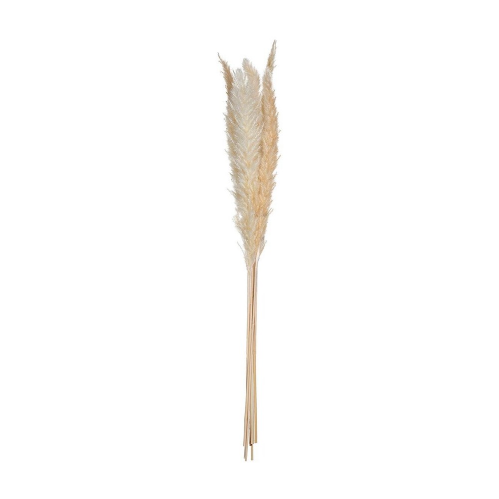 Planta decorativa 65 cm pampas 6 piezas