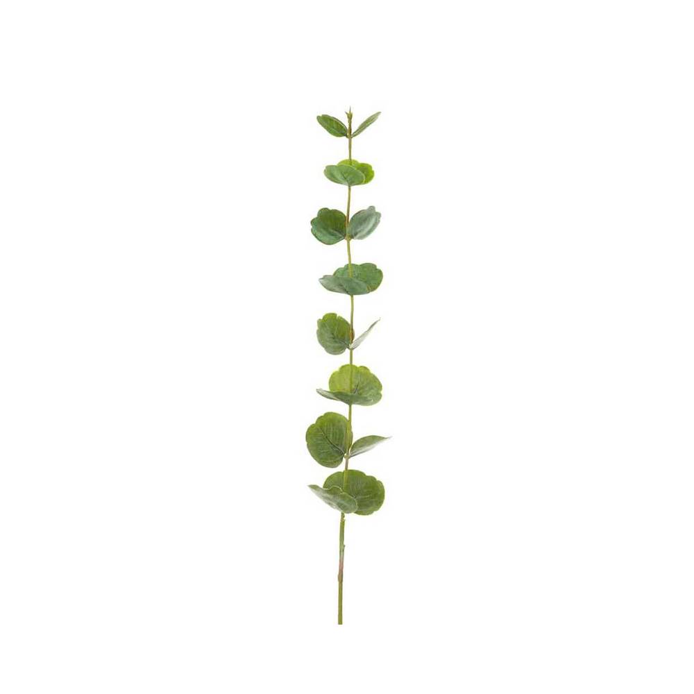 Planta decorativa 97.79 cm hoja de cotinus