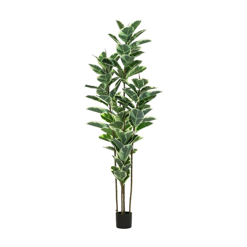 Planta artificial con maceta 1.35 m hojas goma blanca