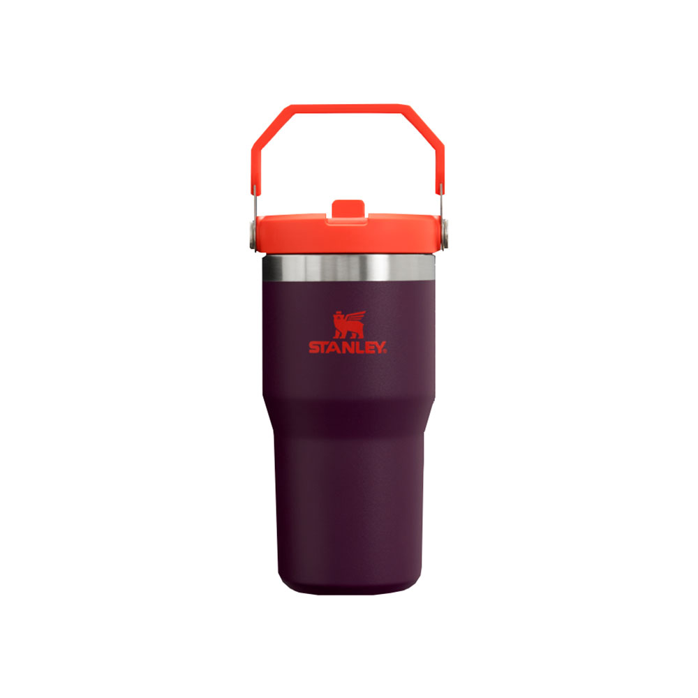 Termo de acero inoxidable color púrpura 591 ml