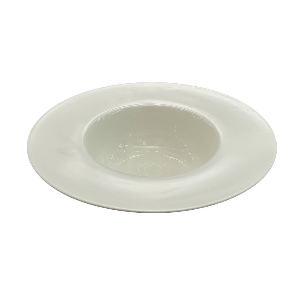 Bowl de porcelana 25.4 cm