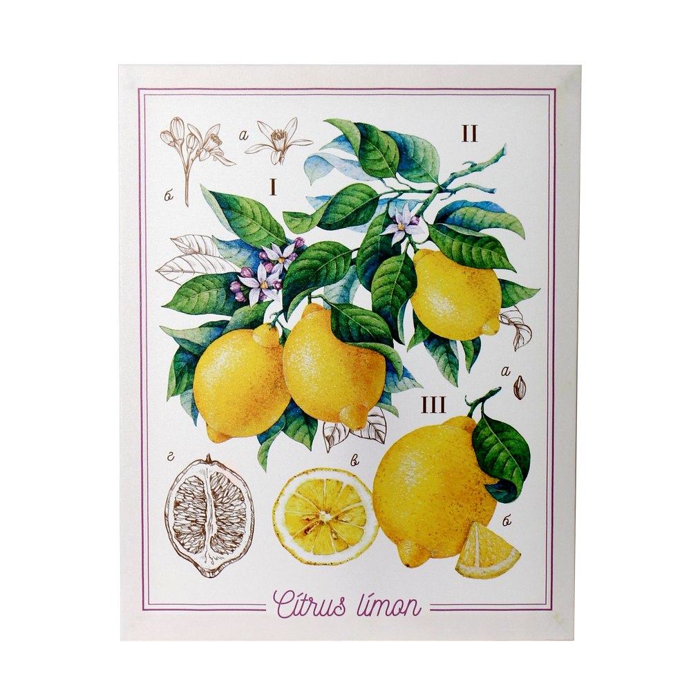Cuadro decorativo limones 40x50 cm