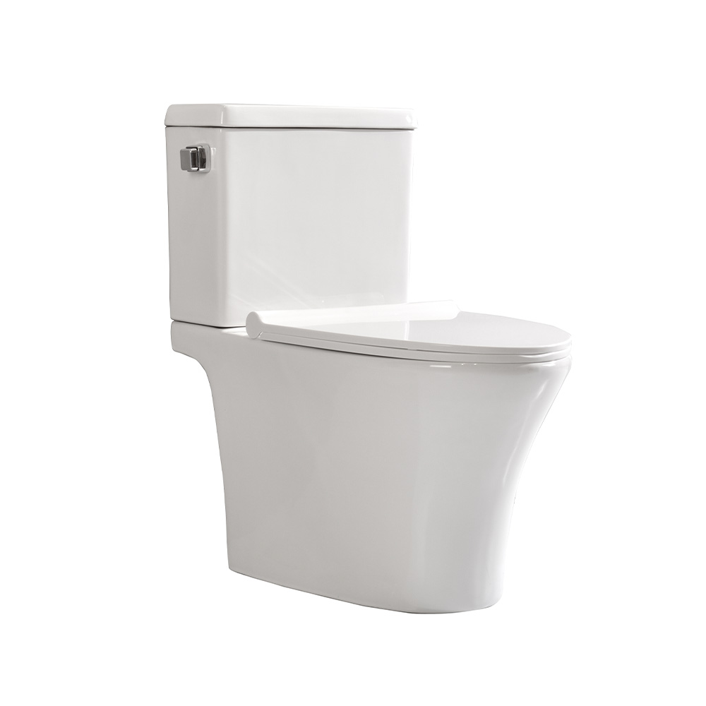 Inodoro elongado blanco 2 piezas