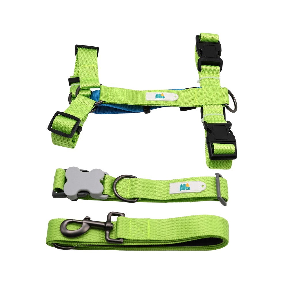 Arnes y correa para perro talla xl verde