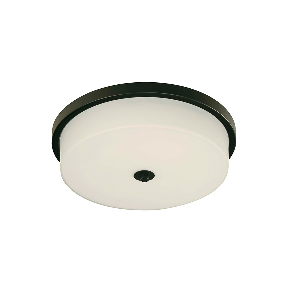 Lampara de techo negro 3l e27 40w