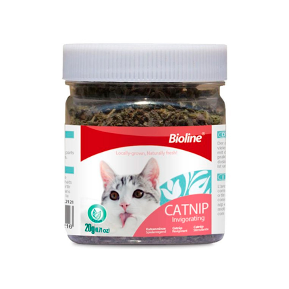 Catnip leaves para gatos 20grs