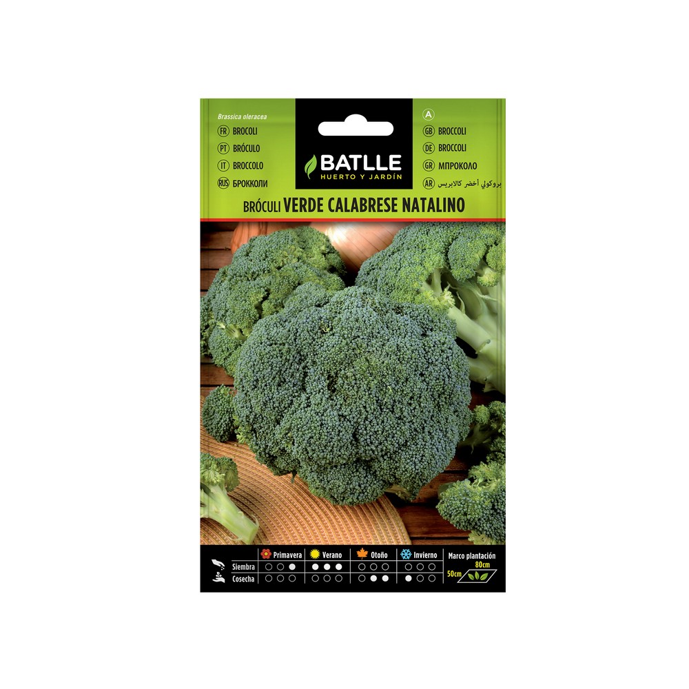 Semilla de brocoli verde calabrese