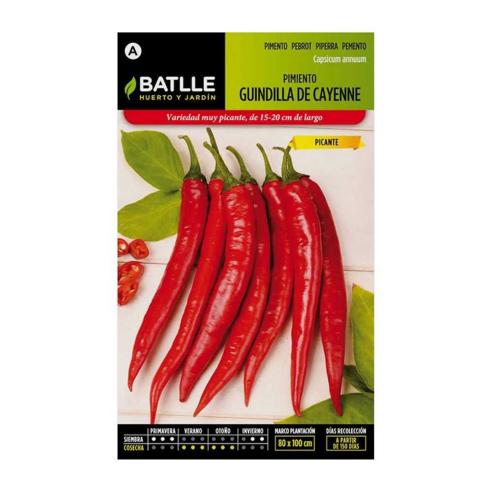 Semilla de pimiento guindilla cayenne rojo