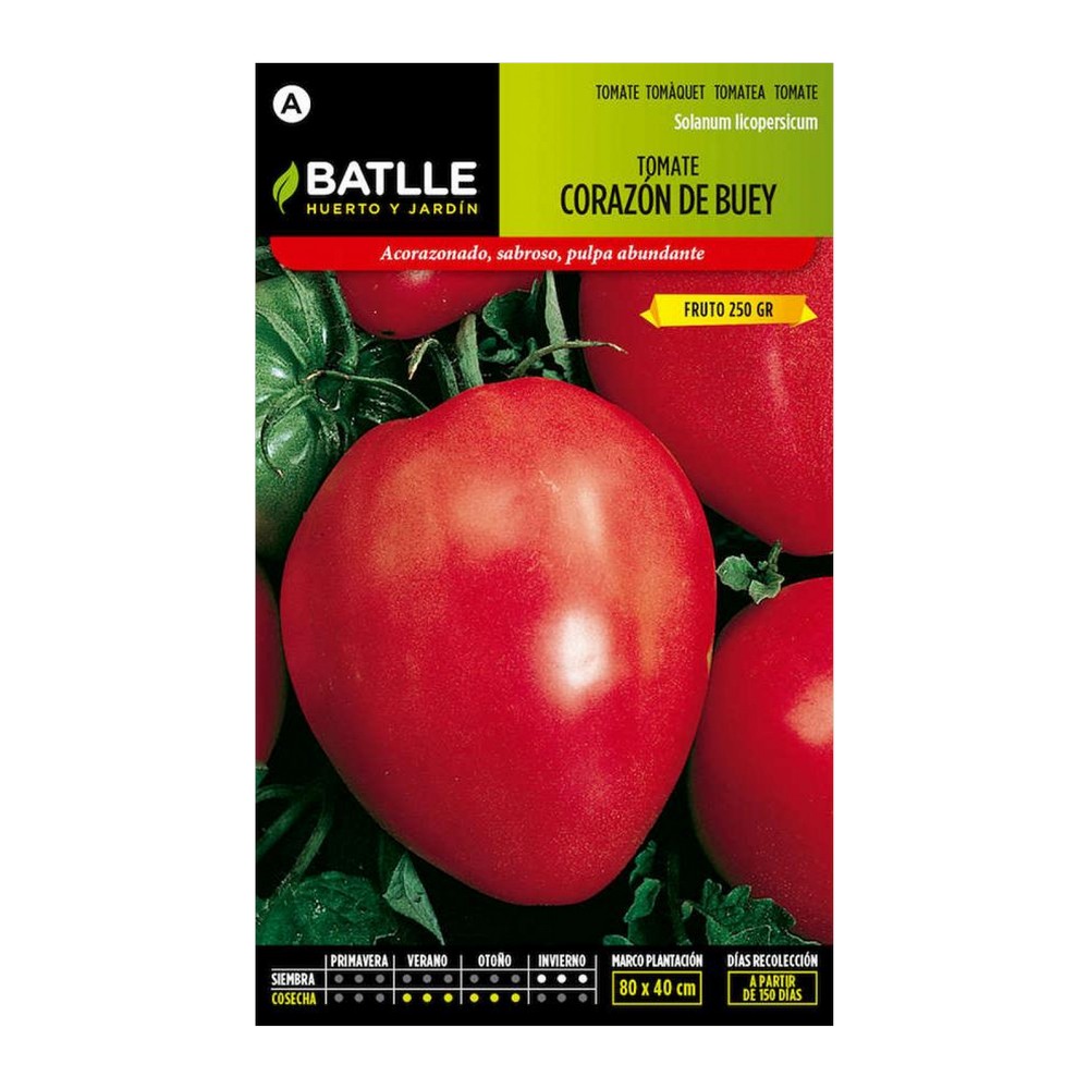 Semilla de tomate corazon de buey