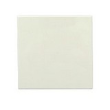 Cerámica de pared 20x20 cm blanco liso