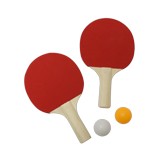 Raquetas con pelotas ping pong