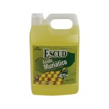 Acido muriatico 1 gal