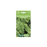 SEMILLA DE MOSTAZA CRESPA