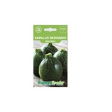 Semilla de zapallo redondo