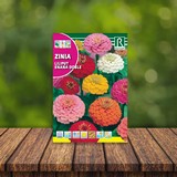 Flor de zinnia enana