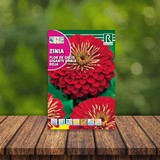 Flor de zinnia