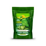 Fertlizante para helechos y plantas verdes