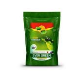 Hormigreen 750 ml