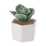 Planta artificial con base ceramica