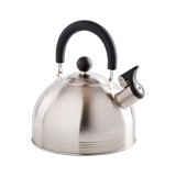 Tetera acero inoxidable 1.5qt mr carterton