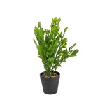 Planta artificial con maceta artemisia chrysanthemum