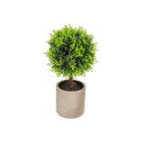 Planta artificial redonda 24x8cm