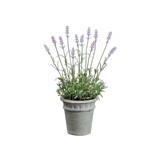 Flor artificial lavanda morado en maceta 12 in